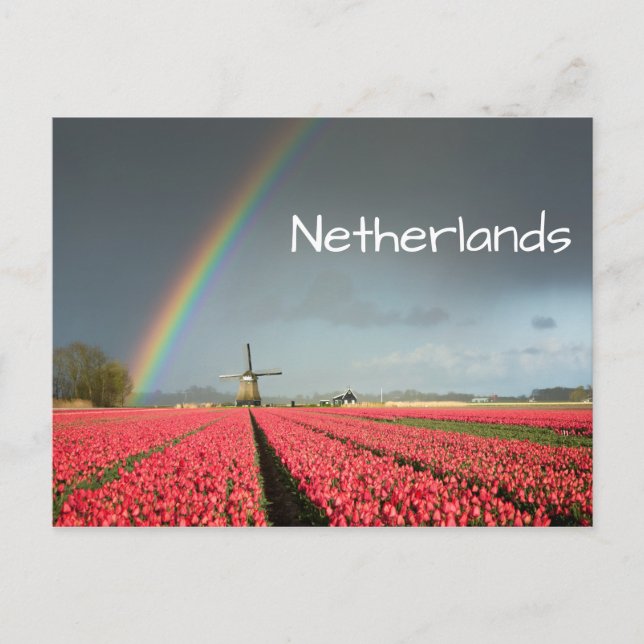 Carte postale arc-en-ciel, tulipes et moulin à ven (Devant)