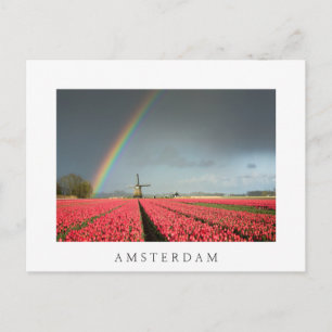 Carte Postale Arc-en-ciel, tulipes et moulin à vent Amsterdam ca