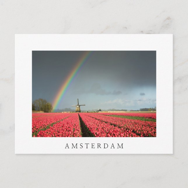Carte Postale Arc-en-ciel, tulipes et moulin à vent Amsterdam ca (Devant)