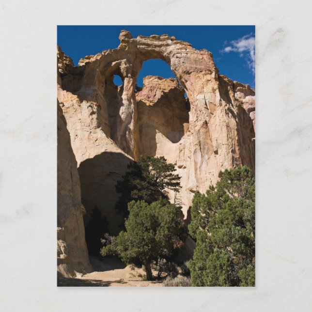 Carte Postale Arc Grosvenor (Devant)