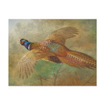 Archibald Thorburn faisan volant CC0583