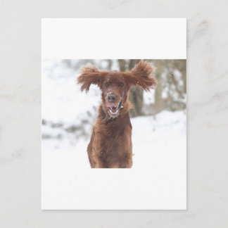 Carte Postale Archie II