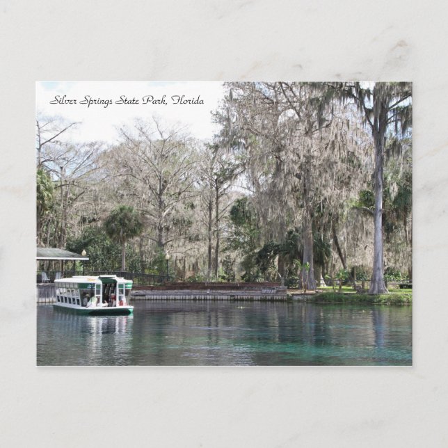 Carte Postale Argent Springs, Floride, Bateau fond de verre (Devant)