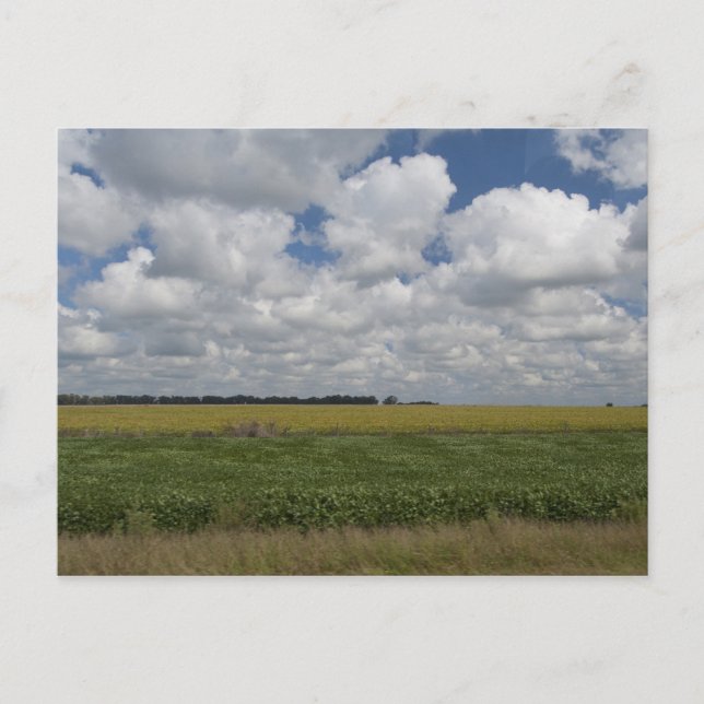 Carte Postale Argentine, Buenos Aires, San Antonio de Areco. (Devant)