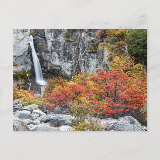 Carte Postale Argentine - Cascade en Patagonie (Devant)