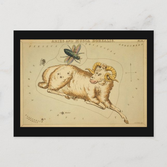 Carte postale Aries (Devant)