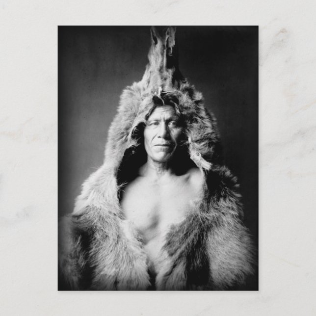 Carte Postale Arikara Indian, Bear's Belly, portant peau d'ours (Devant)