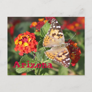 Carte Postale Arizona