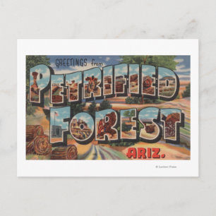 Carte Postale Arizona - Forêt pétrifiée - Grande Lettre