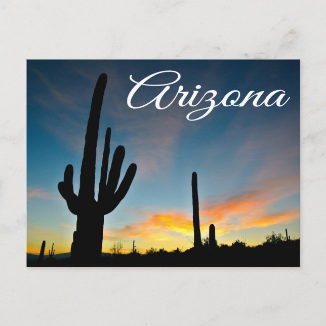 Carte postale Arizona Sunrise Cactus & Desert Trav (Devant)