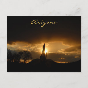 Carte Postale Arizona Sunset Postcard