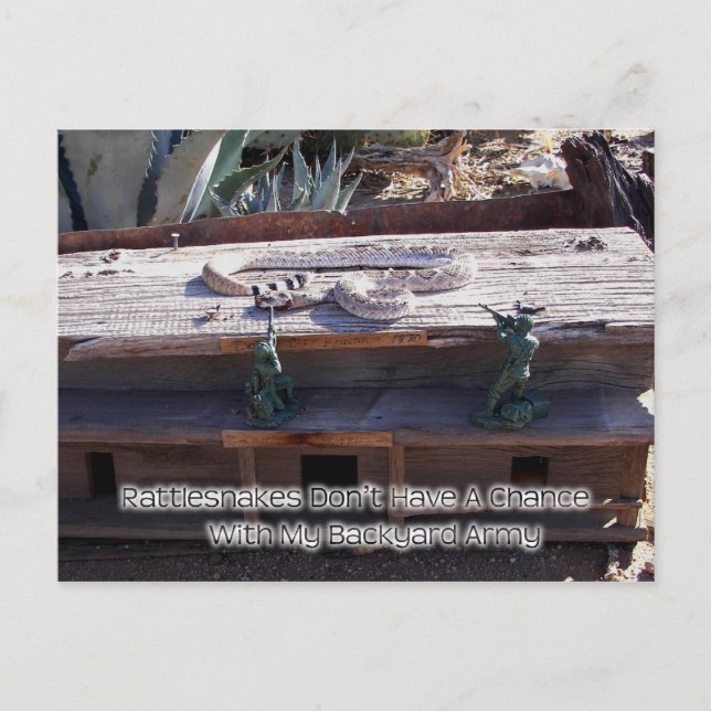 Carte Postale Arizona Western Diamondback Rattlesnake (Devant)