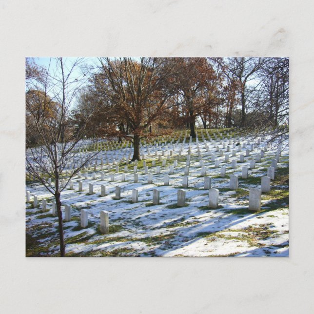 Carte Postale Arlington (Devant)