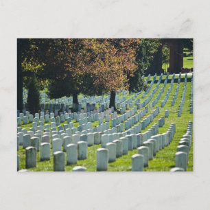 Carte Postale Arlington National Cemetery Postcard