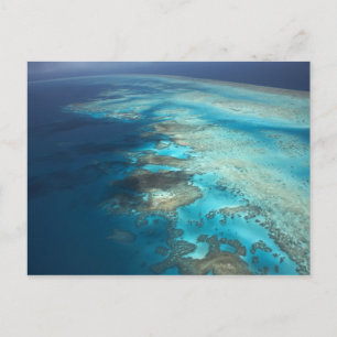 Carte Postale Arlington Reef, Great Barriere Marine Park,