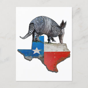 Carte Postale Armadillo du Texas