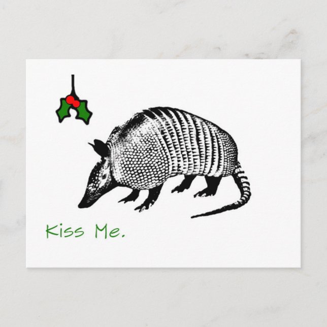 Carte Postale Armadillo Kiss Me (Devant)