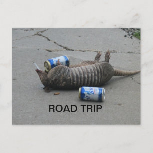 Carte Postale Armadillo Road Trip