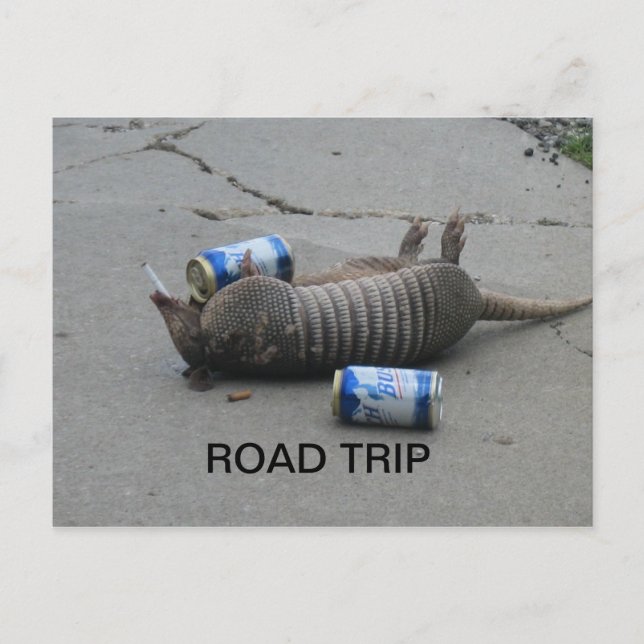 Carte Postale Armadillo Road Trip (Devant)