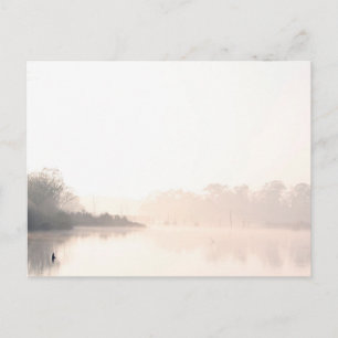Carte Postale Armand Bayou brouillard