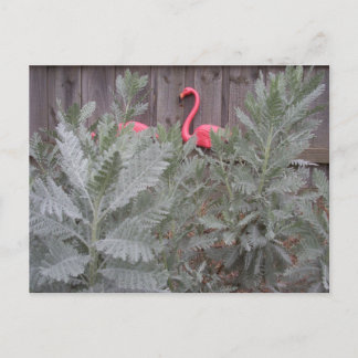 Carte Postale Arrangement en gris et rose