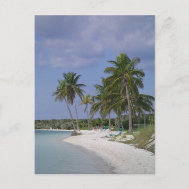 Carte Postale Arrangements tropicaux (Devant)