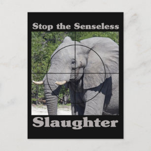 Carte Postale Arrêter l'abattage-éléphant