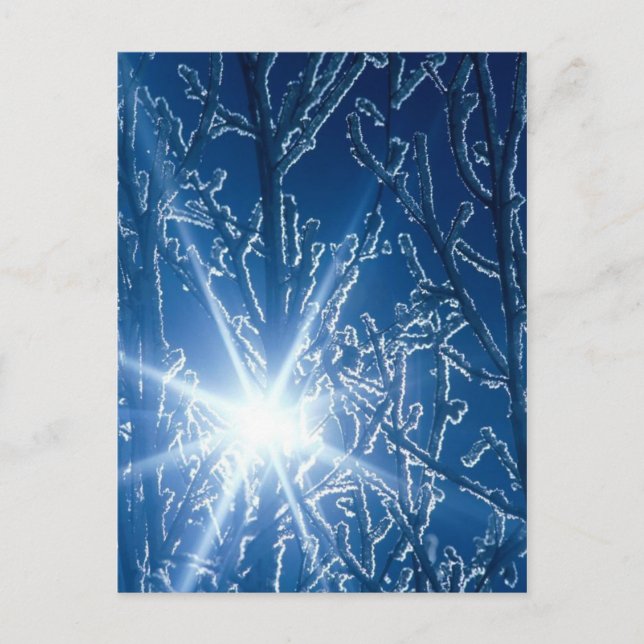 Carte Postale Arrêter par Woods dans une soirée enneigée (Devant)