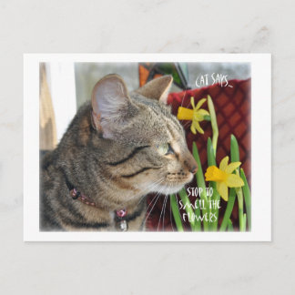 Carte Postale Arrêtez et sentez les fleurs