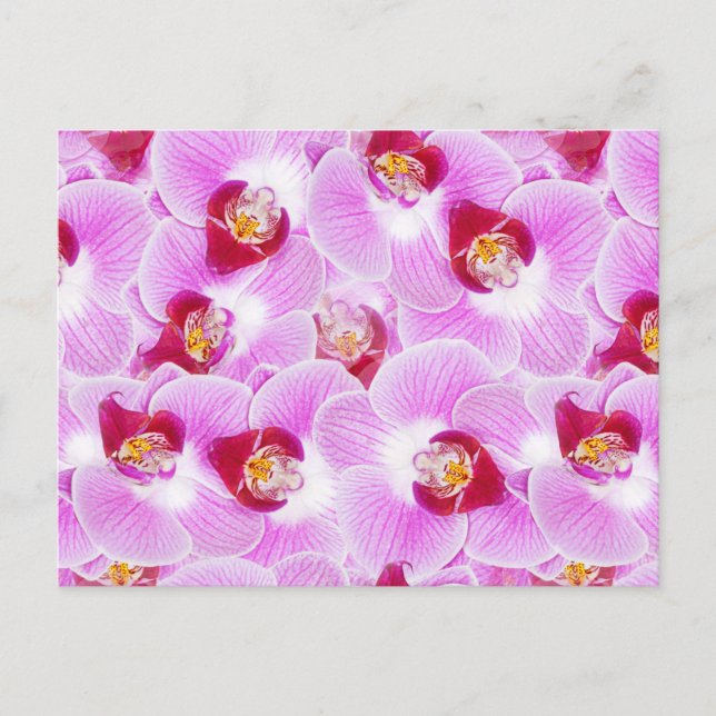 Carte Postale Arrière - plan Abstrait d'une orchidée (Devant)