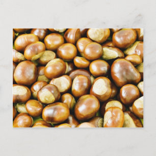 Carte Postale Arrière - plan De Conkers