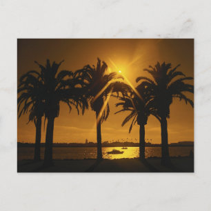 Carte Postale Arrière - plan du ciel tropical