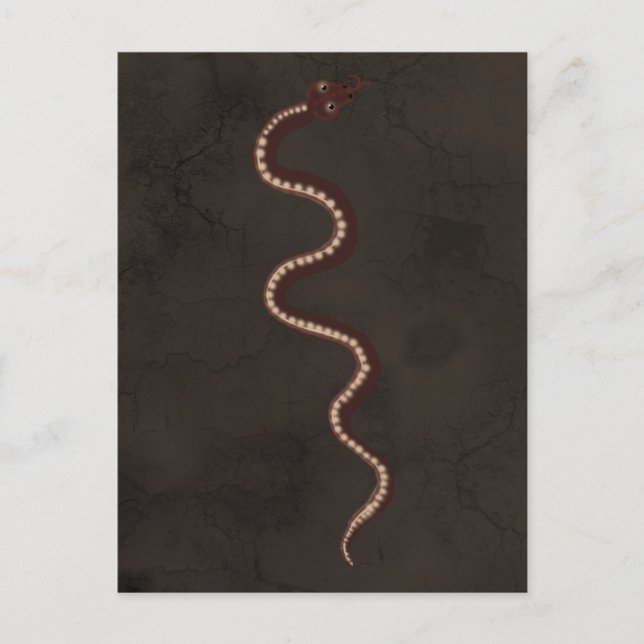 Carte Postale Art aborigène australien du serpent du désert (Devant)