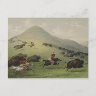 Carte Postale Art amérindien Catlin