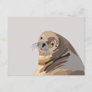 Carte Postale Art animal Lion de mer