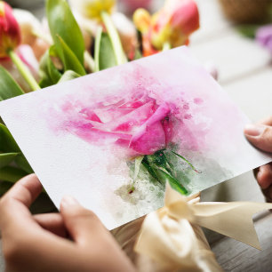 Carte Postale Art aquarelle de rose rose sur fond blanc