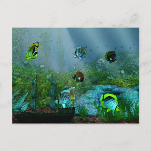 Carte Postale Art Aquraium de réservoir de poisson (Devant)
