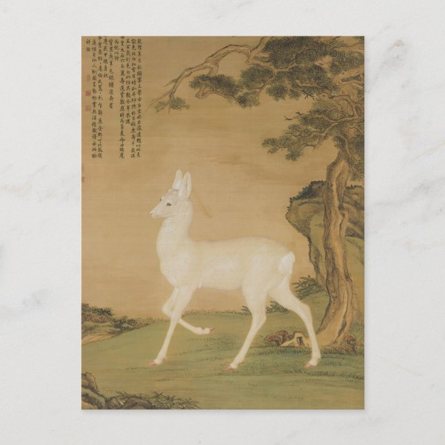 Carte Postale Art Auspicious Roe Deer (Devant)