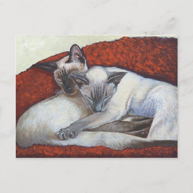 Carte Postale Art Chat Siamois couché (Devant)