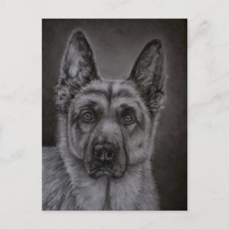 Carte Postale Art de Berger Allemand - Noble