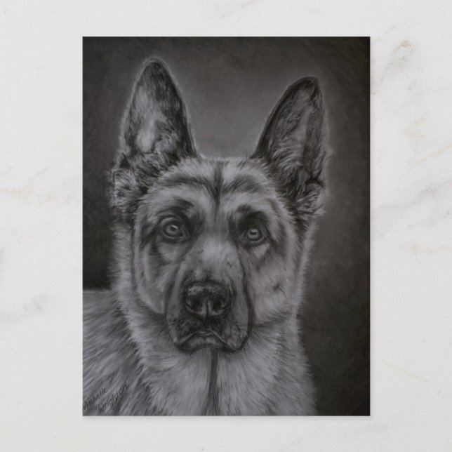 Carte Postale Art de Berger Allemand - Noble (Devant)