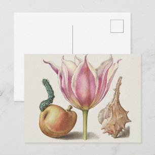 Carte Postale Art de calligraphie de la Renaissance Fleur de tul