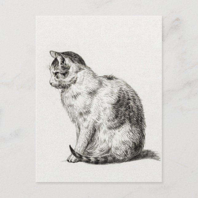 Carte Postale Art de crayon noir vintage (Devant)