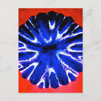 Carte Postale Art de fleur d'aster