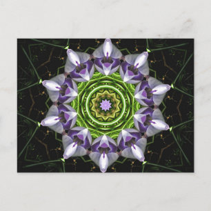 Carte Postale Art de kaléidoscope de mandala floral pourpre