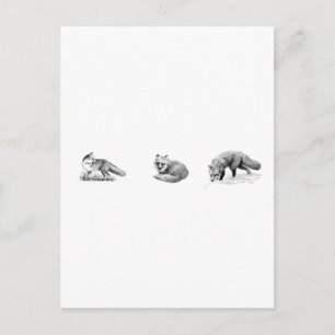 Carte Postale Art de la ligne Red Fox