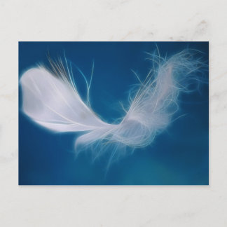 Carte Postale Art de la plume blanche - symbole de pureté et d'i