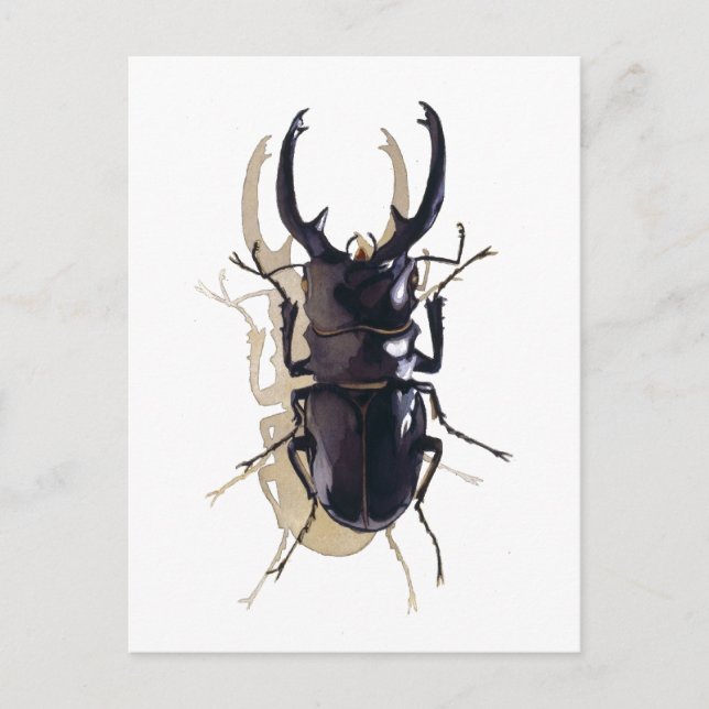 Carte Postale Art de l'aquarelle de l'insecte (Devant)