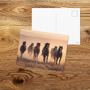 Carte Postale Art de paysage occidental de troupeau de chevaux s