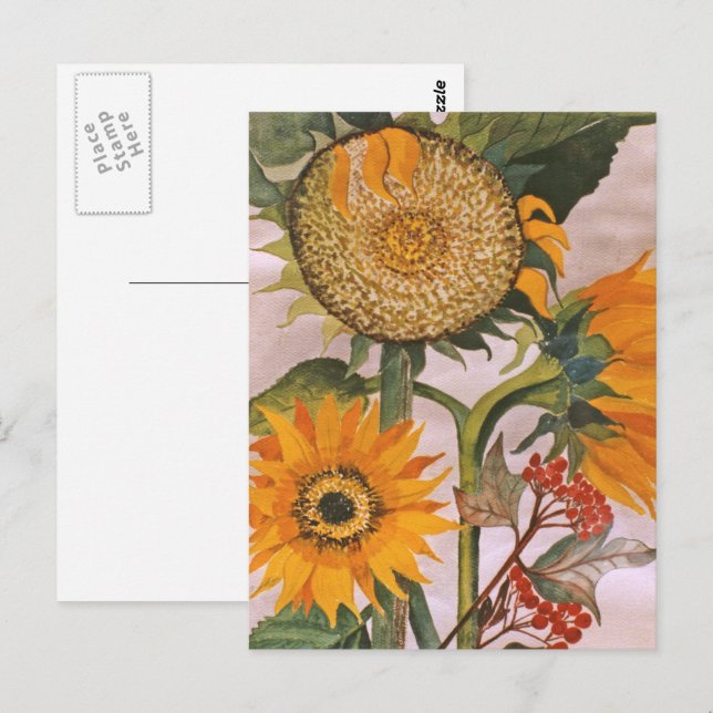 Carte Postale Art de tournesol en germination jaune orange (Devant / Derrière)